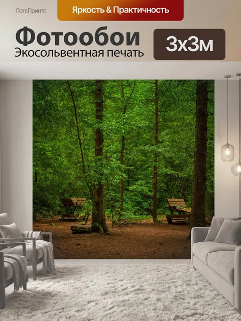 Фотообои лес с уютными местами для отдыха, скрывающимися между деревьями