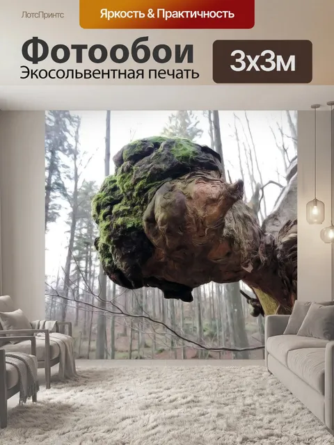 Фотообои Gnome леса