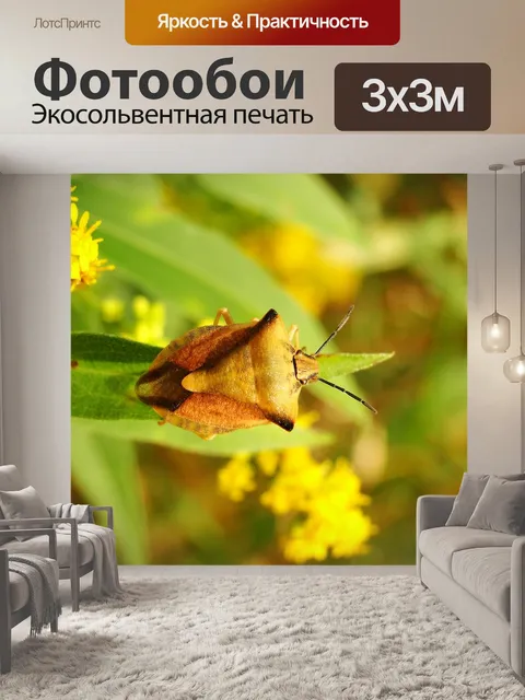 Фотообои Borczyniec фруктовый