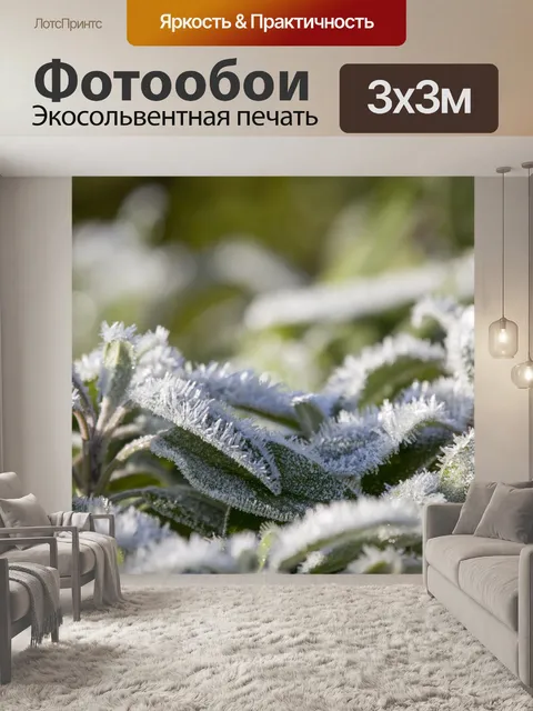 Фотообои Морозные зимние листья