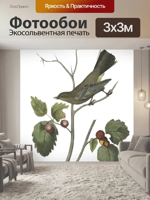 Фотообои Птицы