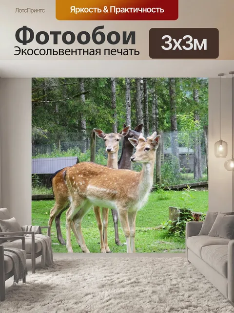 Фотообои Олень