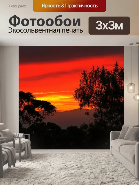 Фотообои тропики, закат с великолепными оттенками цвета, красные и золотые неба окутывают контуры деревьев, вечерняя…