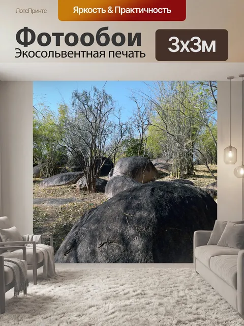 Фотообои Бамбуковый лес 2