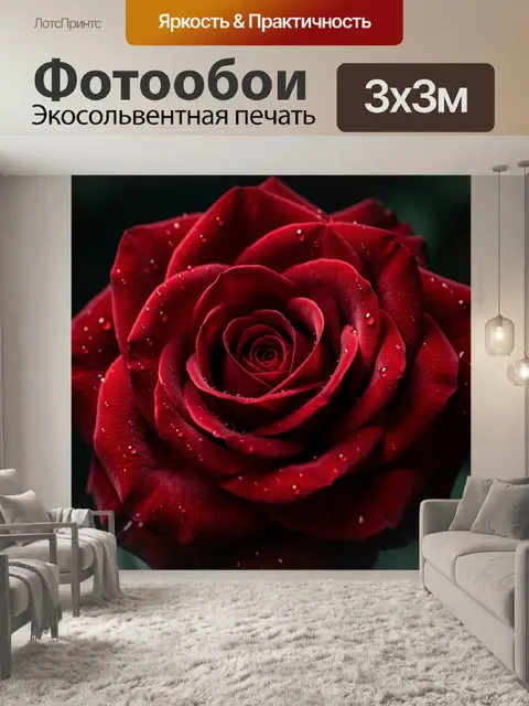 Фотообои Алый цветок с каплями росы