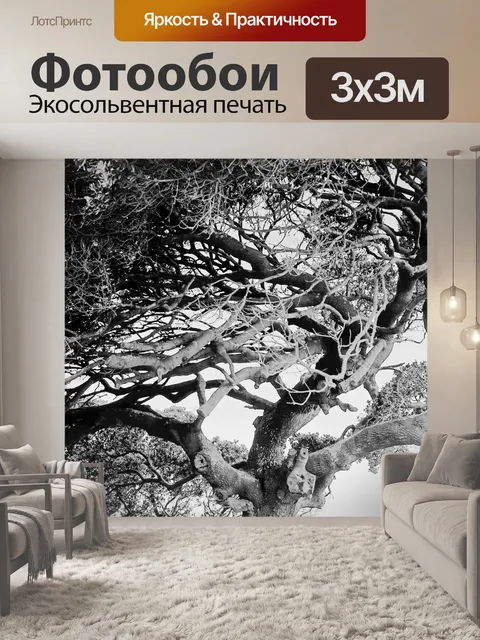 Фотообои оттенки серого windtorn приморской дерев