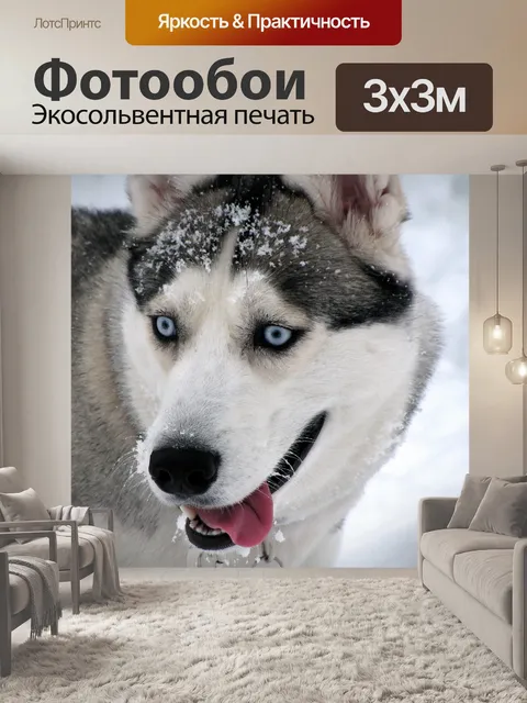 Фотообои Собака