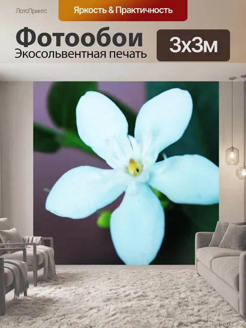 Фотообои белый цветок 3