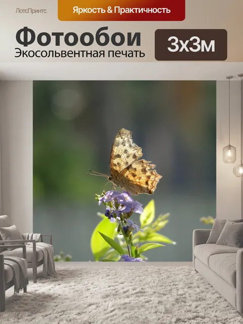 Фотообои Насекомое