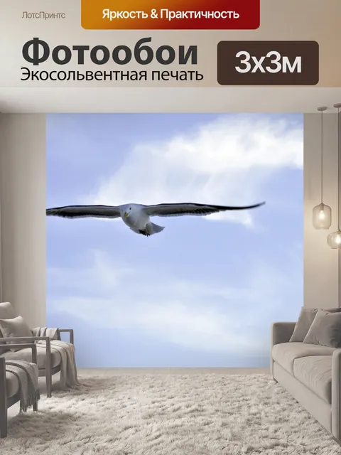 Фотообои Парящая Чайка