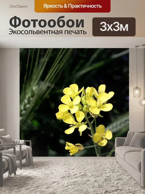 Фотообои Горчица