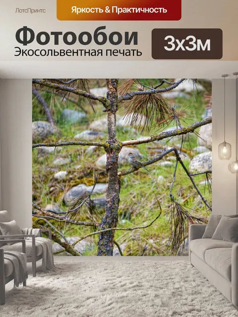 Фотообои Птица в сосновом дереве