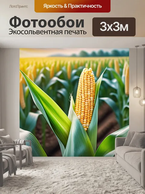 Фотообои с колосьями