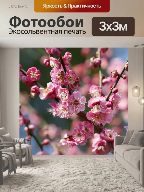 Фотообои Цветение сливы