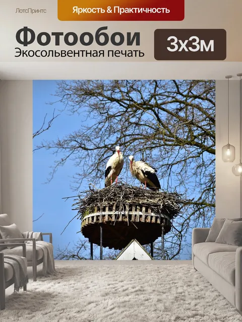 Фотообои Аист