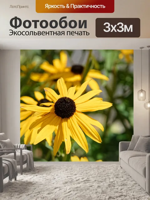 Фотообои Цветочный сорт рудбекки