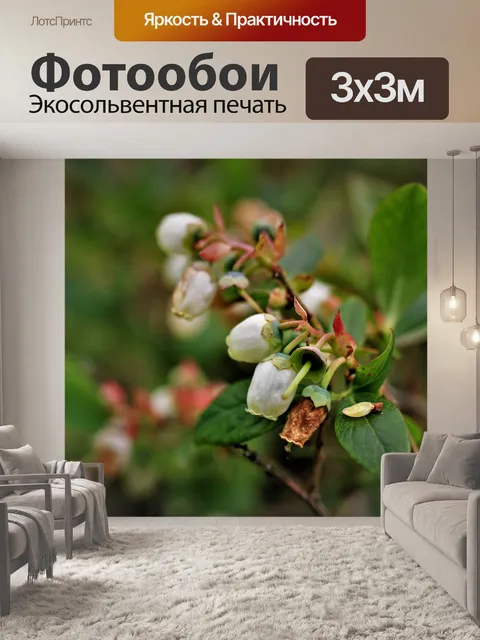 Фотообои Американская черника