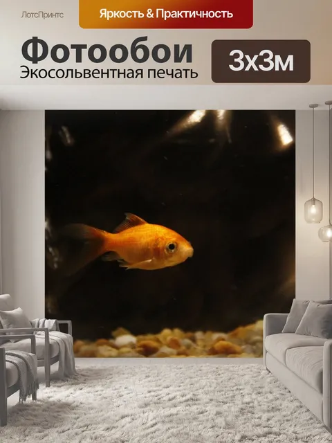 Фотообои Золотая рыбка