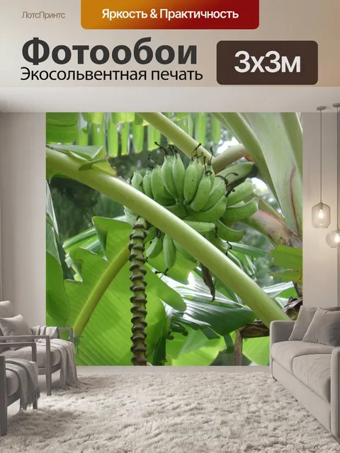 Фотообои Дикие бананы