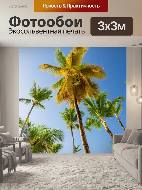 Фотообои Пальмы и голубое небо