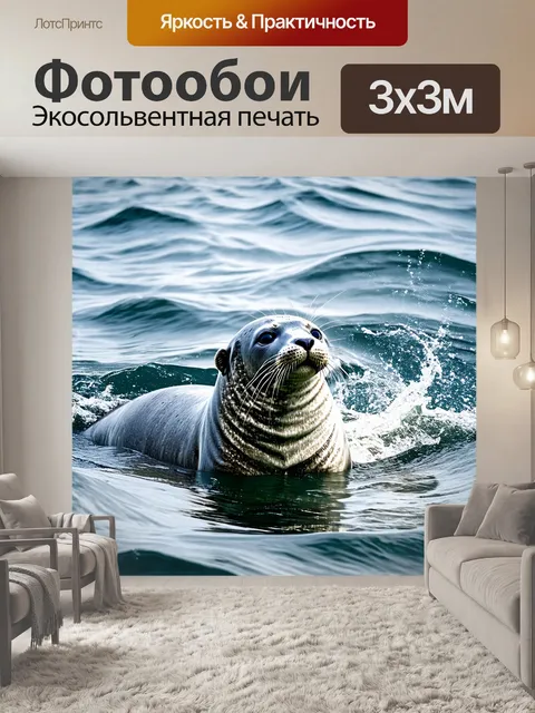 Фотообои изображение серого тюленя, который охотится за рыбой в открытых водах вокруг гельголанда