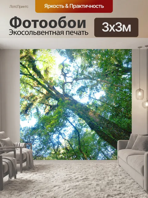 Фотообои Природа тропический лес дои Интанон наци