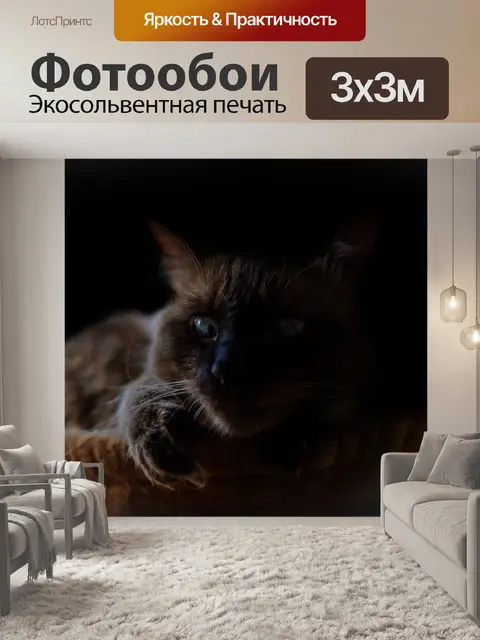 Фотообои Кошка