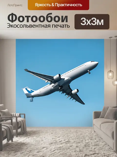 Фотообои стримлайнный пассажирский авиалайнер