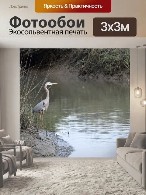 Фотообои Большая голубая цапля