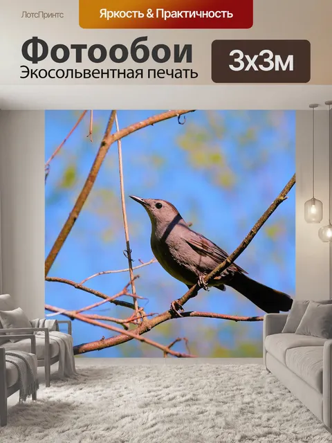 Фотообои Птица