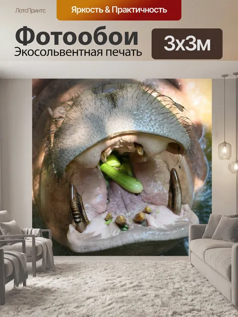 Фотообои Бегемот