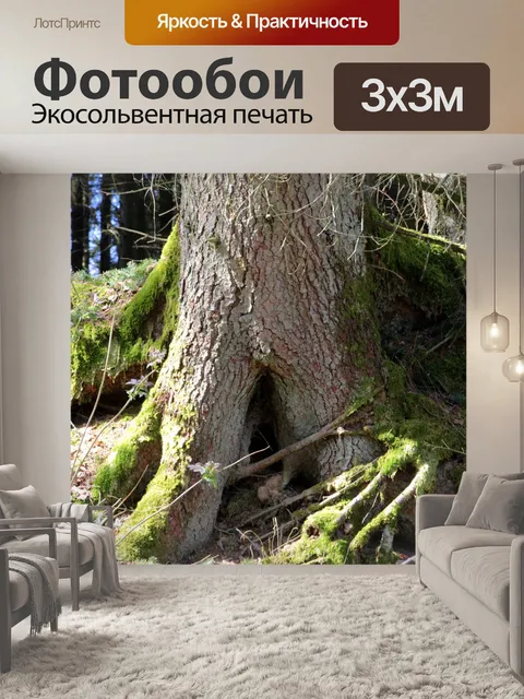 Фотообои Ствол дерева