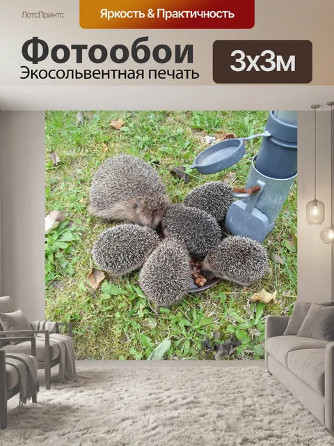 Фотообои Ежик