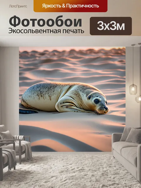 Фотообои тюлень, дремлющий на мягком песке в окружении дуновений ветра, с оттенками заката на его шерсти