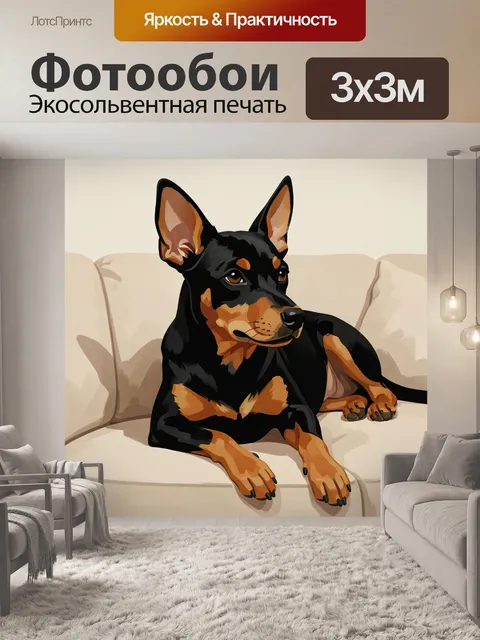 Фотообои Черно-подпалая собака на диване