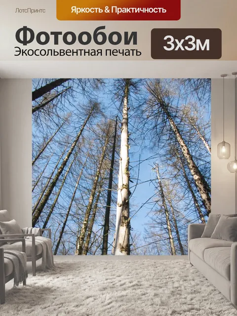 Фотообои Мертвые деревья