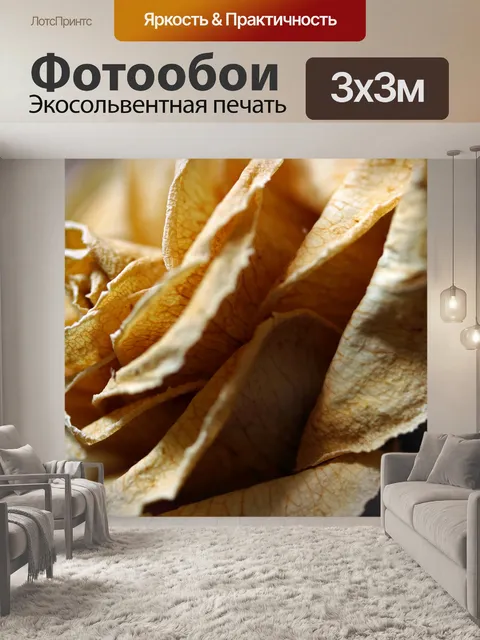 Фотообои хрупкий блеклый свет на сухой розе