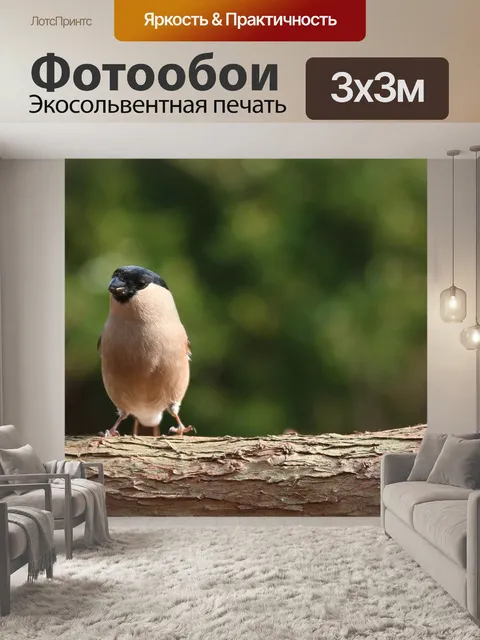 Фотообои Снегирь