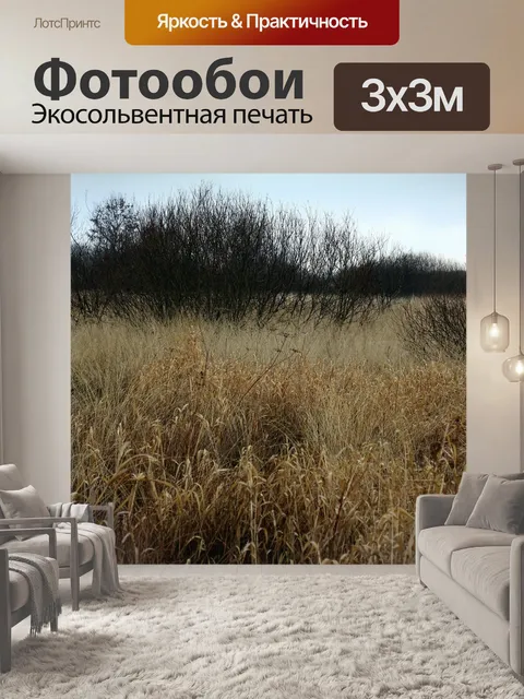 Фотообои Падение