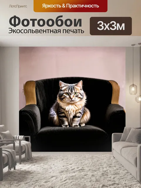 Фотообои британский кот с выразительной мордой сидит на старинном черном кресле, обтянутом бархатом
