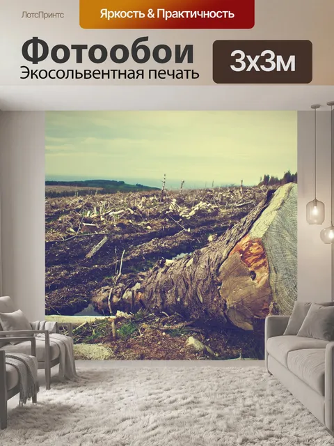 Фотообои Вырубка леса