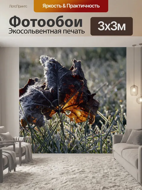 Фотообои Осенний лист иней иней иней