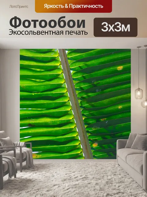 Фотообои пальмы листья модель