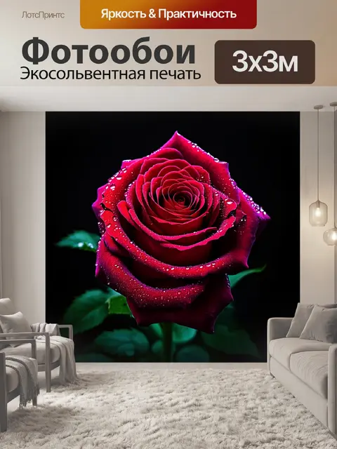 Фотообои розы в стиле нуар, с нежными каплями росы, придающими свежесть и эффект сюрреализма