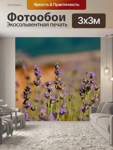 Фотообои Лаванта