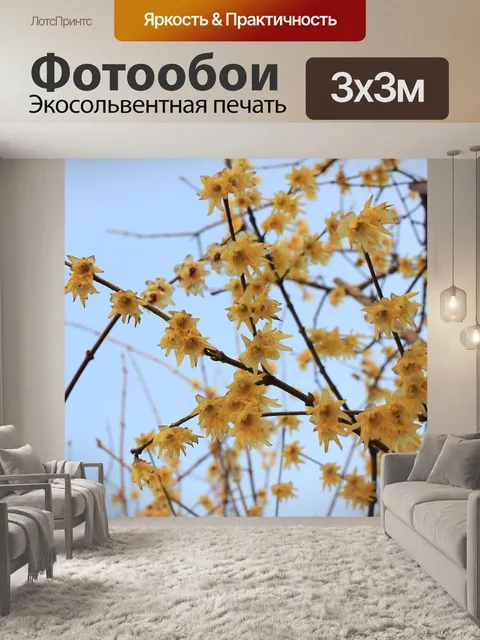 Фотообои Цветок сливы