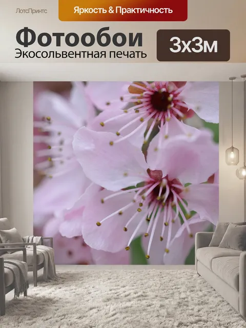 Фотообои Японский черри блоссом