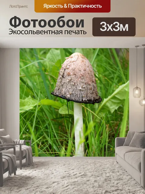 Фотообои Чернильница Coprinus comatus