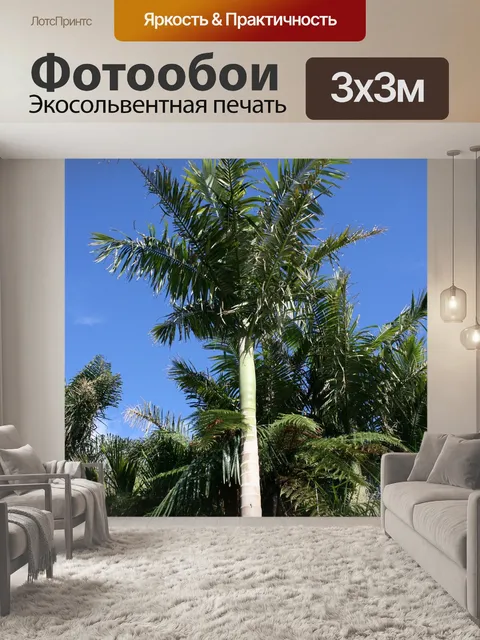 Фотообои Пальмовый лес