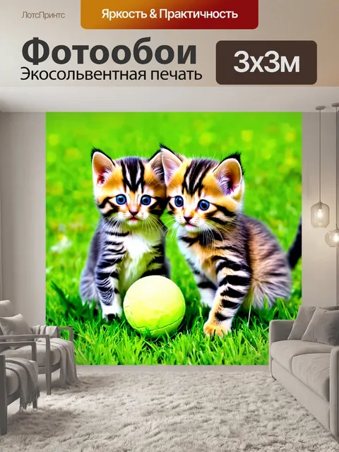 Фотообои котята, забавляющиеся с мягким мячиком на траве